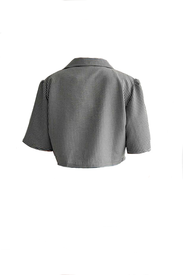 DAISY CHECKERED CROPPED BLOUSE